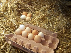 Free-range Eggs